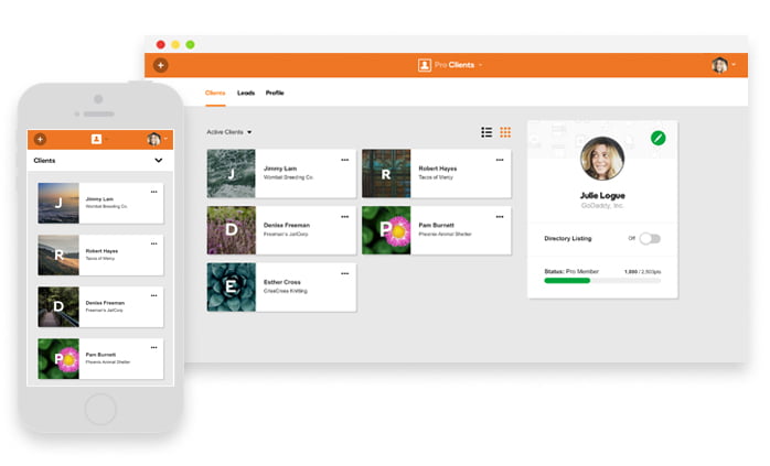GoDaddy Pro