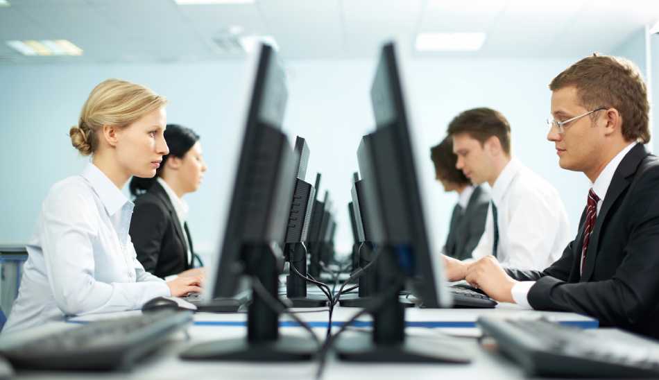 کارکنان / Employees
