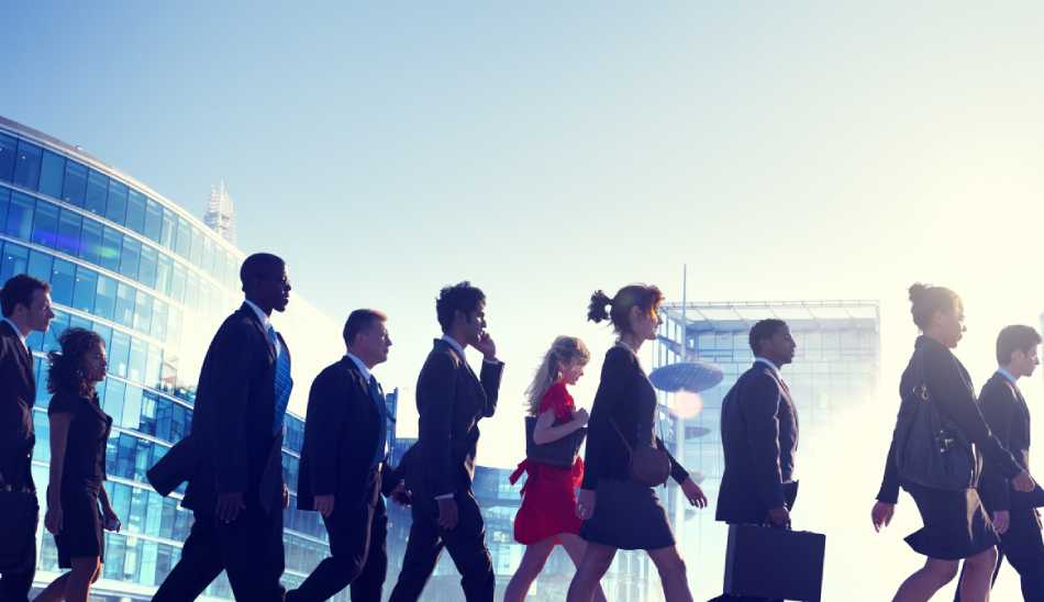 کارکنان / Employees