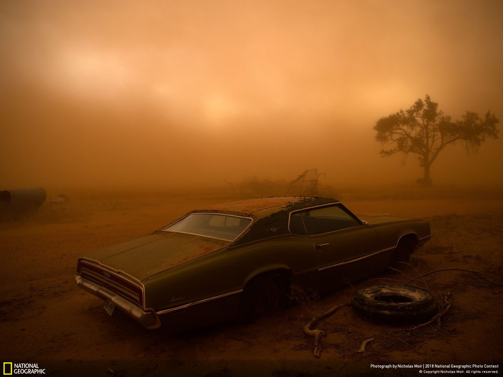 Ford Thunderbird / فورد تاندربرد