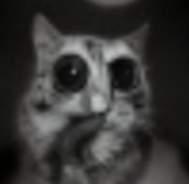  Nvidia's AI cat / گربه هوش مصنوعی انویدیا