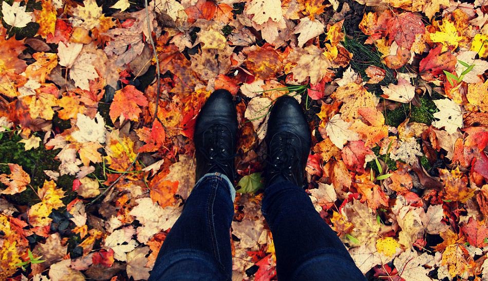 آموزش سلفی گرفتن حرفه ای