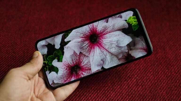 Samsung-Galaxy-A30-displaying-camera-sample-image-of-flower / مشخصات a30