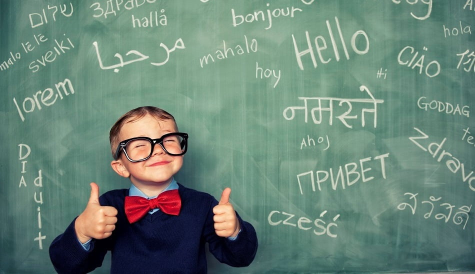 learn languages / یادگیری زبان
