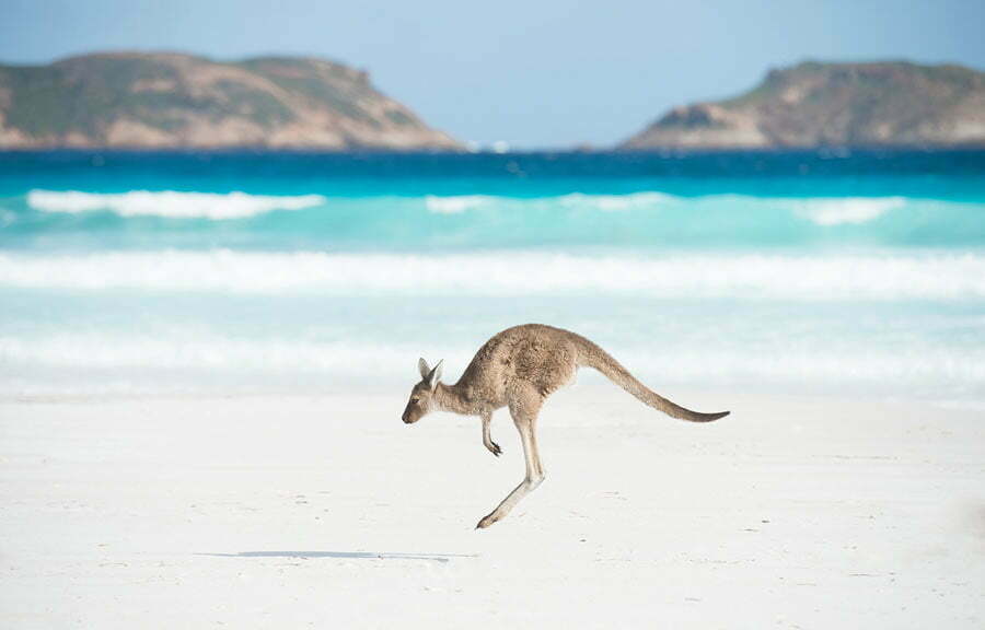 Australia / استرالیا