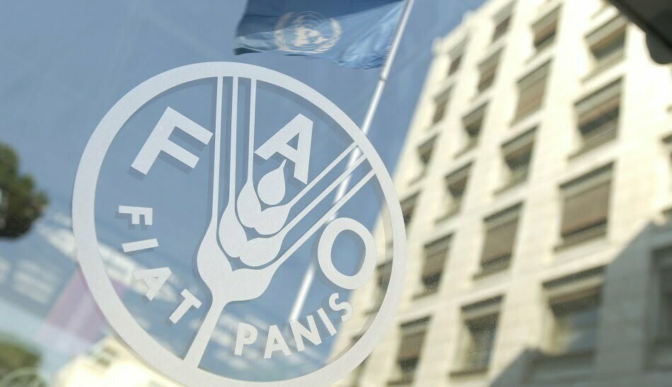 fao / فائو / روز جهانی غذا