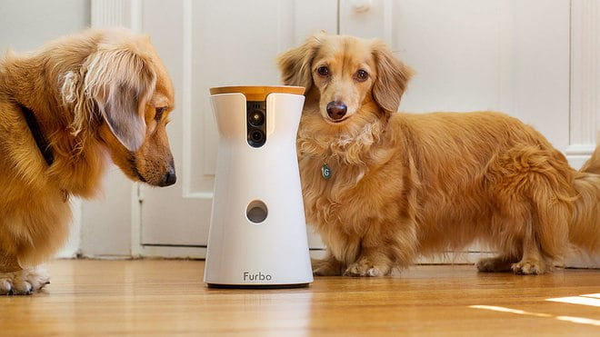 لوازم مخصوص سگ/ Furbo dog camera