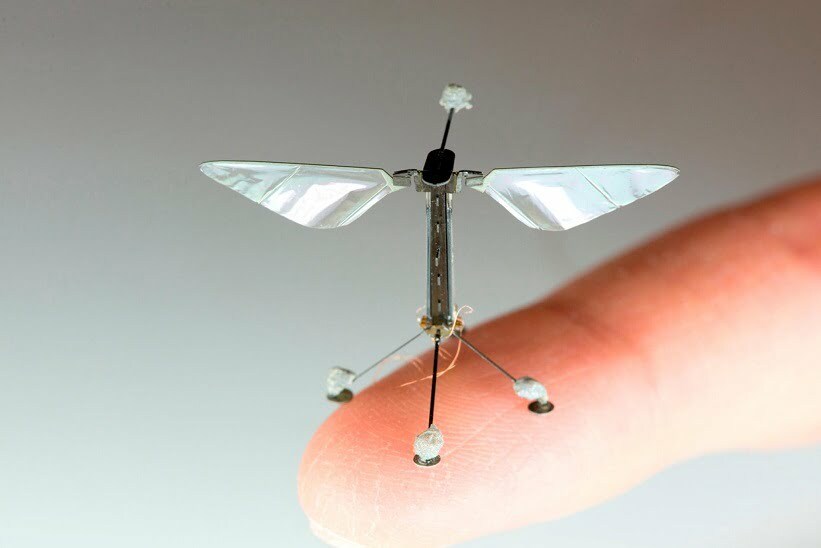 RoboBee / ربات جنگی کوچک