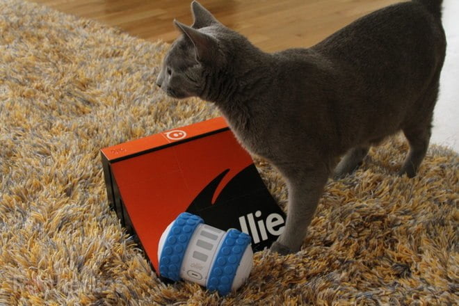 لوازم مخصوص سگ/ Sphero Ollie