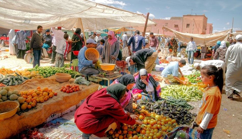 World Food Day / روز جهانی غذا