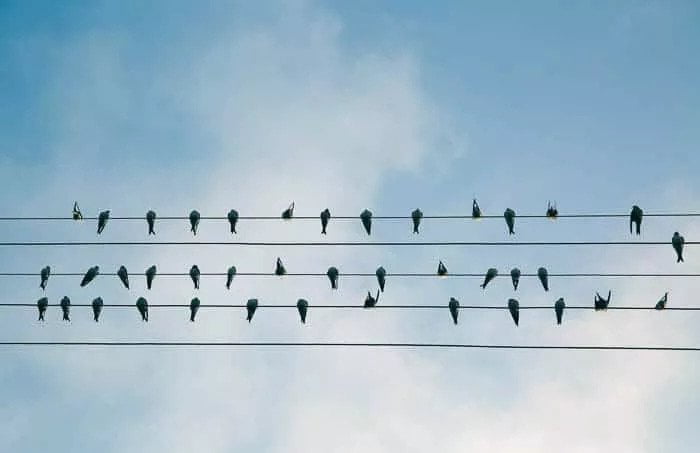 عکس گرفتن حرفه ای