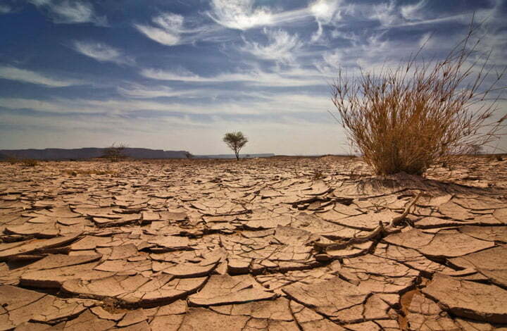 عکاسی حرفه ای