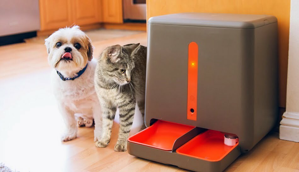 pet gadgets / لوازم جانبی حیوانات