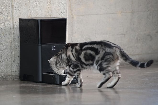 گجت مخصوص حیوانات خانگی/ smart feeder