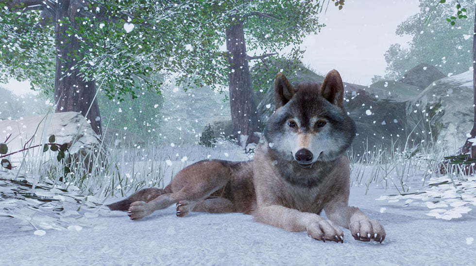 سیاره باغ وحش / Planet Zoo