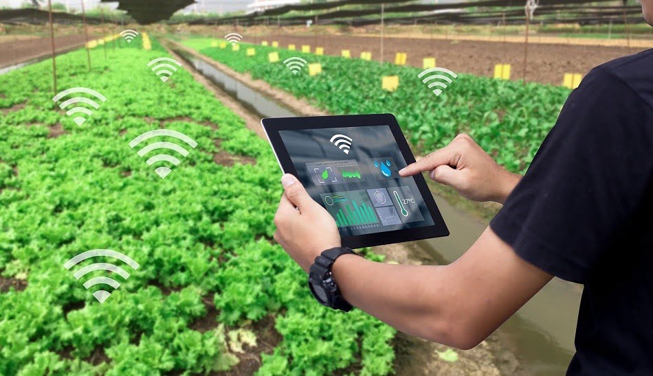 smart farming / مزایای کشاورزی هوشمند
