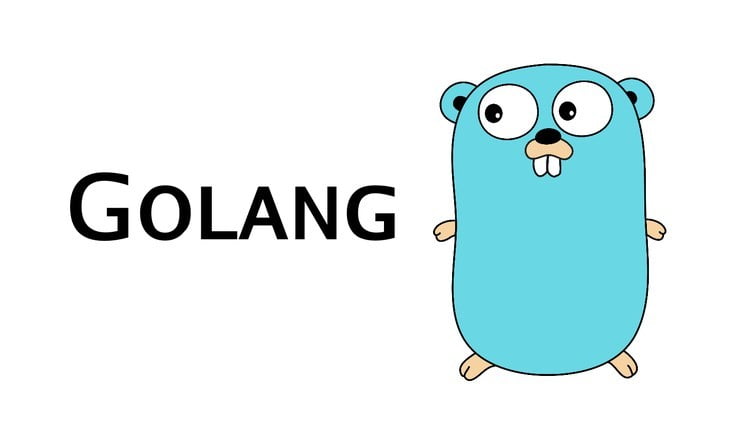 Go / بهترین زبان برنامه نویسی برای شروع