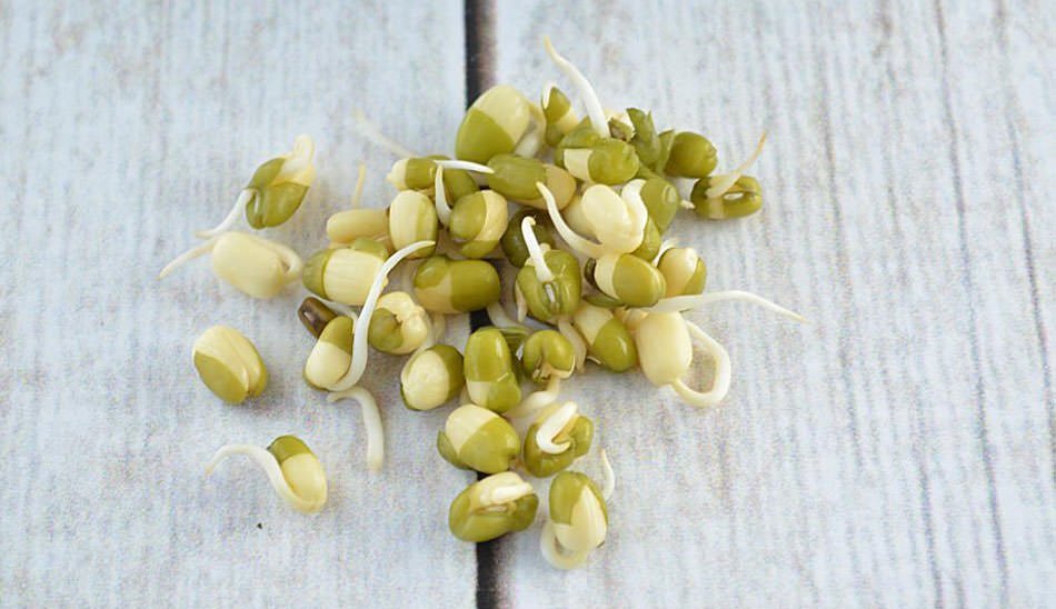 طرز تهیه جوانه در منزل/ Sprouting