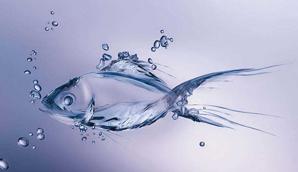 مضرات نوشیدن آب زیاد / The disadvantages of drinking too much water