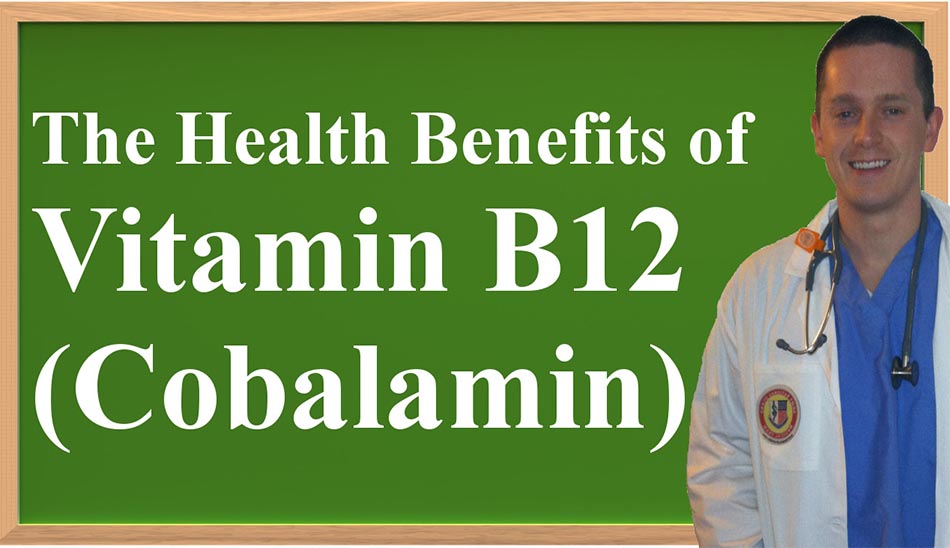 منابع ویتامین b12 / منابع گیاهی ویتامین b12
