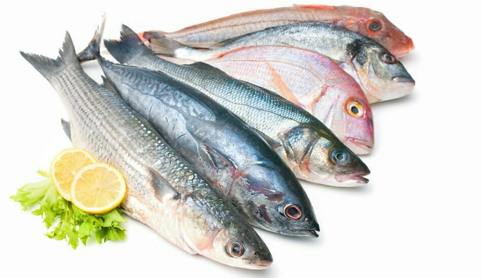 حساسیت غذایی به ماهی / fish