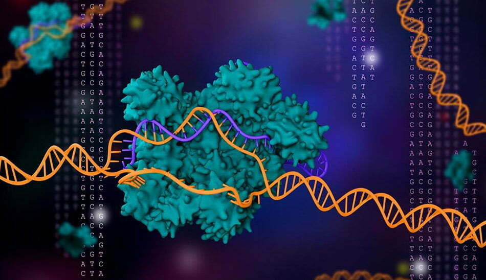 تراریخته/genetical-modified