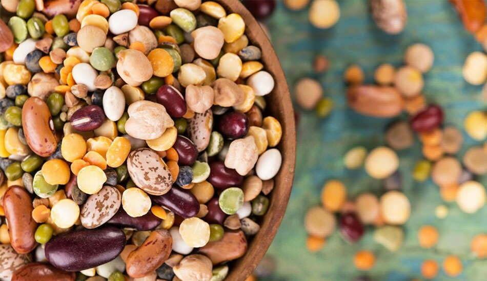 بهترین منابع پروتئین گیاهی