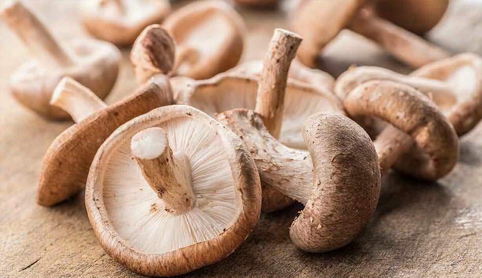 منابع پروتئین گیاهی