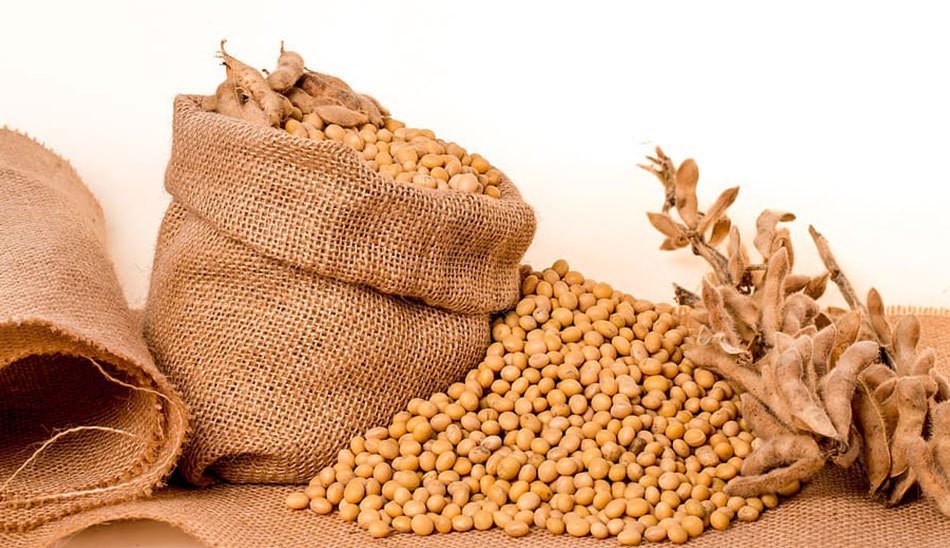 درمان حساسیت غذایی