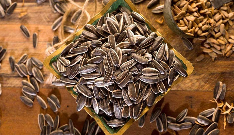 سیستم ایمنی بدن چیست