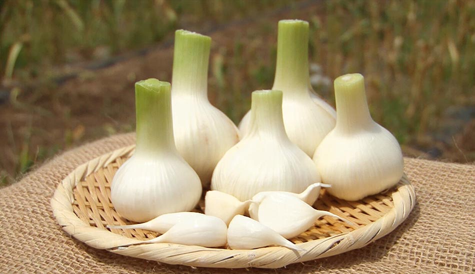 خواص سیر برای مردان
