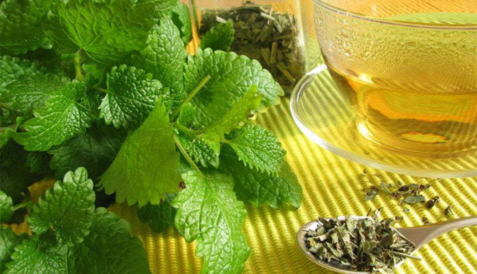 دمنوش برای استرس و اعصاب