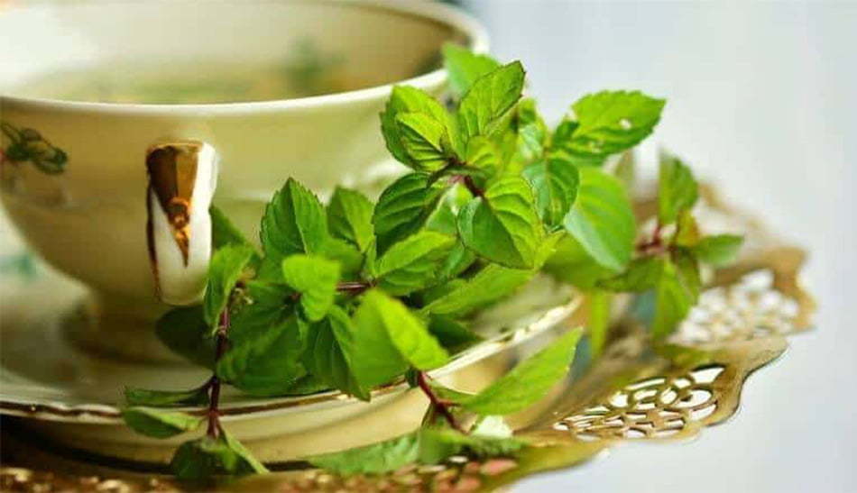 کاهش استرس با دمنوش