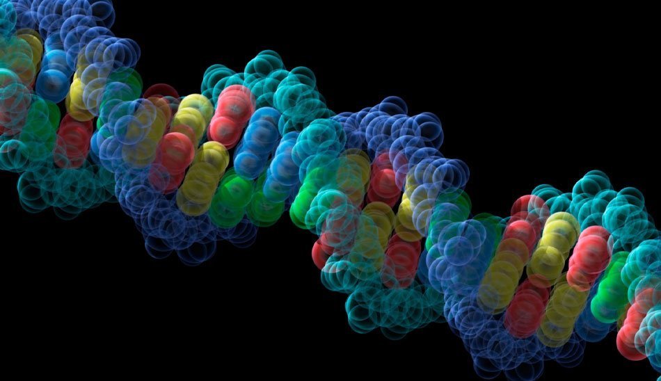 تفاوت کروموزوم و dna