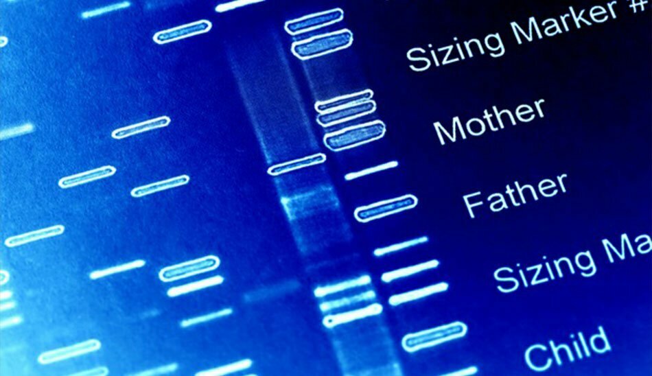 تفاوت rna و dna
