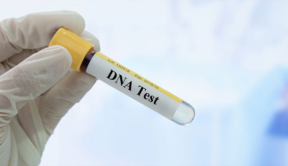 عکس dna / کاشف dna