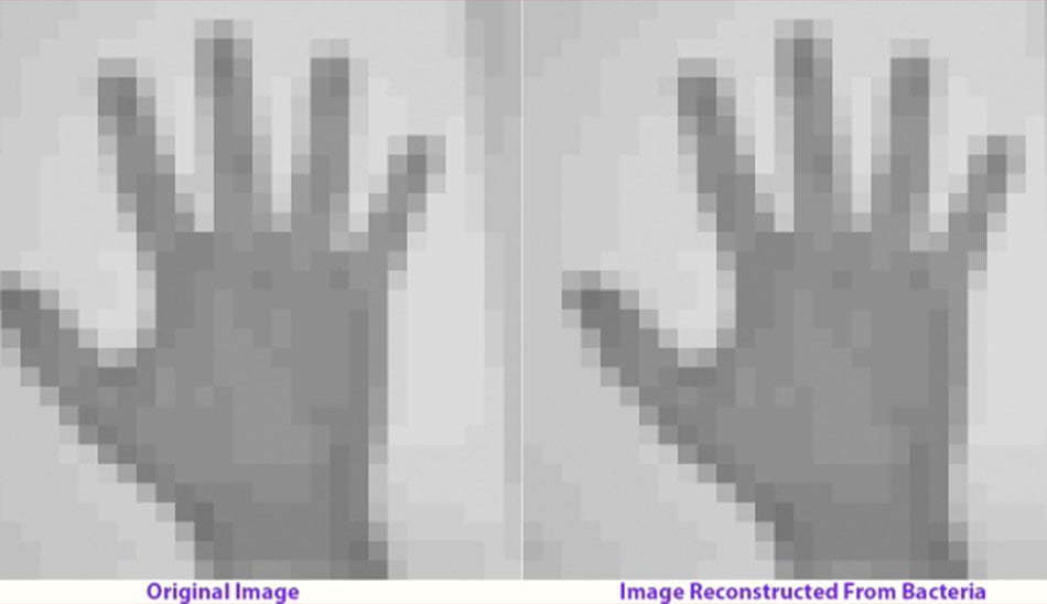 چرا dna مارپیچ است / کاشف ساختار مولکولی dna