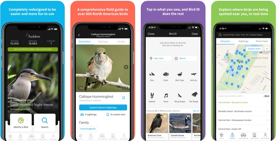 Audubon-Bird-Guide/نرم افزار طبیعت گردی