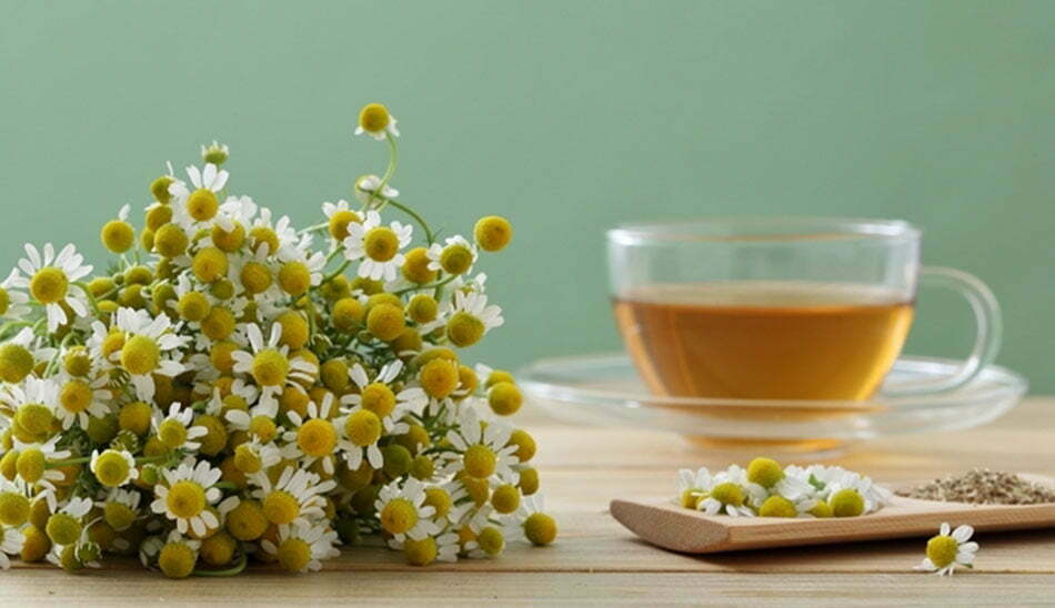 خواص چای بابونه برای پوست