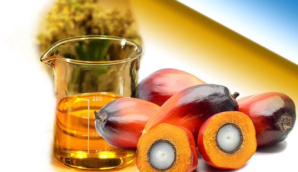 روغن پالم سرطان زاست؟