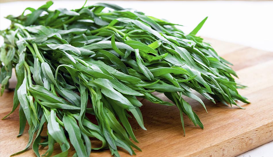 فاسیولا چیست