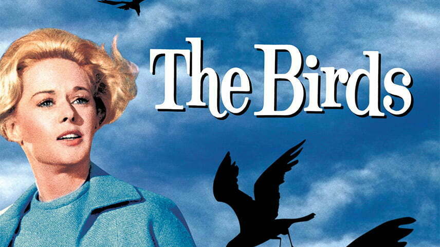 فیلم The Birds / بهترین فیلم های سینمایی ترسناک دنیا