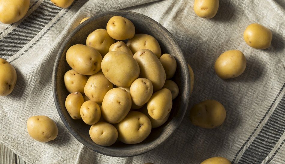 غذاهای کربوهیدرات دار