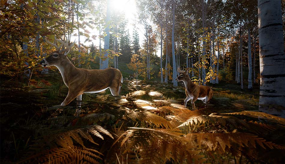 مشخصات بازی Hunting Simulator 2