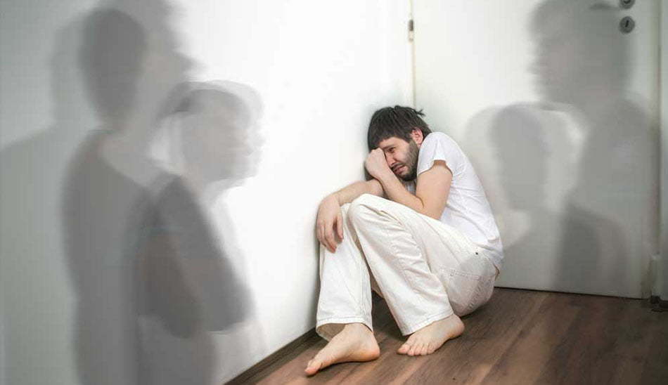 پارانوئید چیست