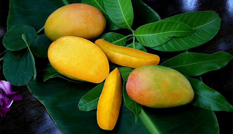 معرفی میوه های تابستانی