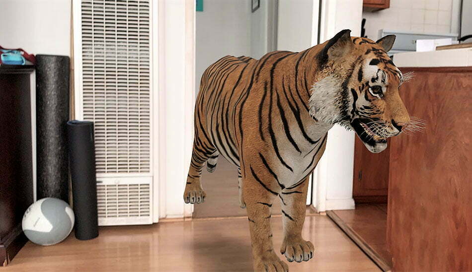 ببر سه بعدی/ Google-3d-animals