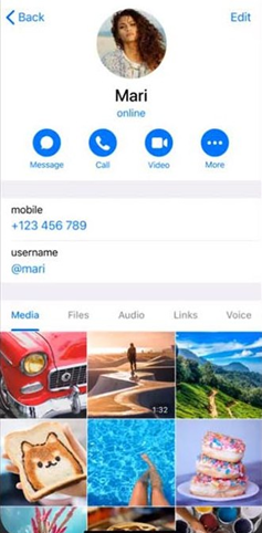 تماس تصویری در تلگرام