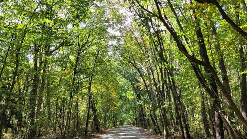 گلکسی اس ۲۰ اف ای