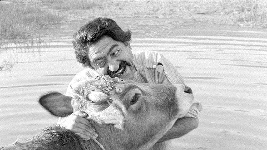 فیلم های قبل انقلاب / فیلم سینمایی قدیمی ایرانی